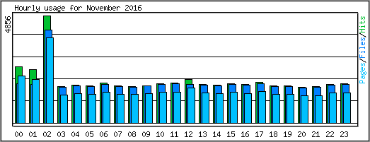 Hourly usage