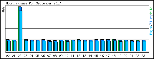 Hourly usage