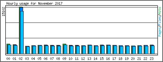 Hourly usage