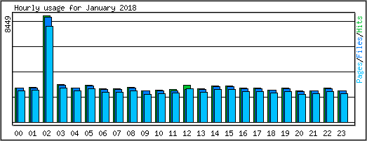 Hourly usage